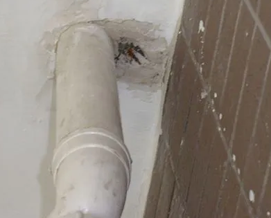 南川漏水检测哪家好